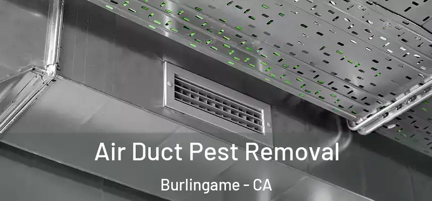  Air Duct Pest Removal Burlingame - CA