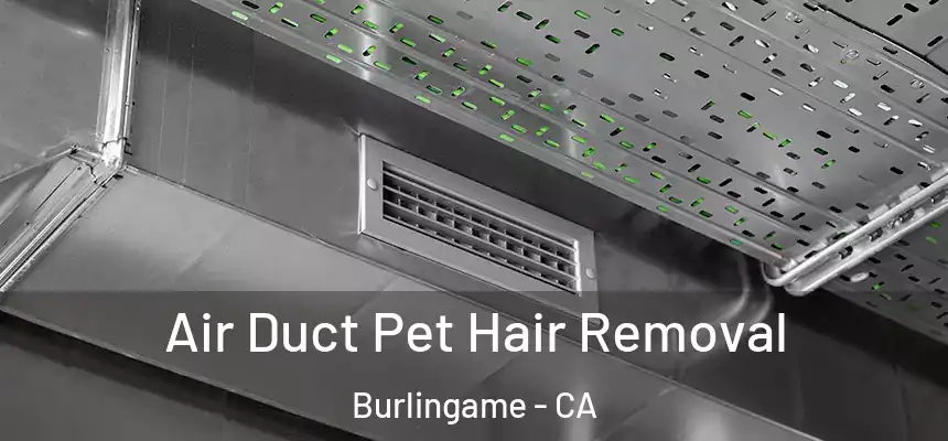 Air Duct Pet Hair Removal Burlingame - CA