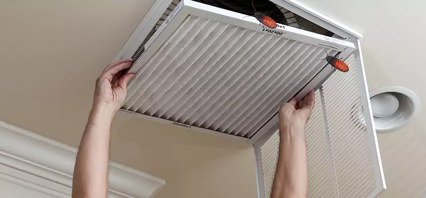 Preventive Cockroach-Proofing for Ducts in Burlingame