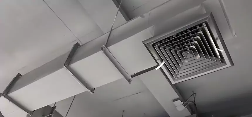 Our Pest Removal From Ducts Services in Burlingame, CA