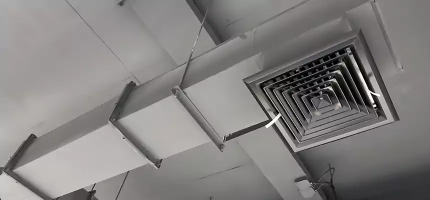 Our Rodent Droppings In Vents Services in Burlingame, CA