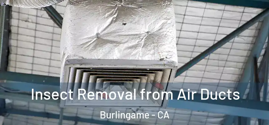  Insect Removal from Air Ducts Burlingame - CA