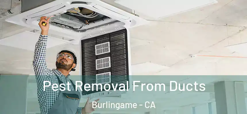  Pest Removal From Ducts Burlingame - CA