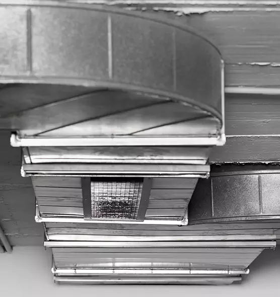 Professional Air Duct Pet Hair Removal in Burlingame, CA