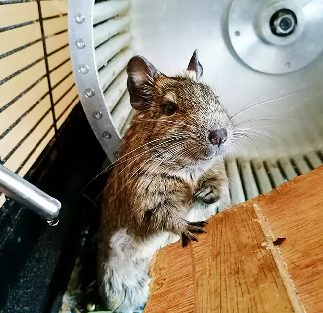 Why Homeowners & Businesses Trust Us Burlingame, CA