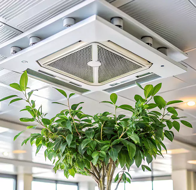 Why Homeowners & Businesses Trust Us in Burlingame, CA?