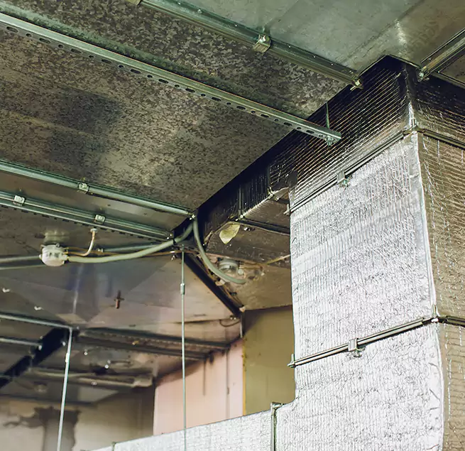 Why Homeowners & Businesses Trust Us in Burlingame, CA?